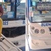 Un chofer escuchó ruidos en el motor del colectivo, lo revisó y quedó en shock con lo que encontró